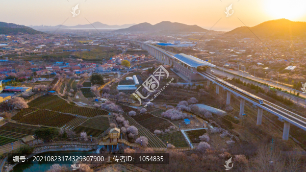 春天