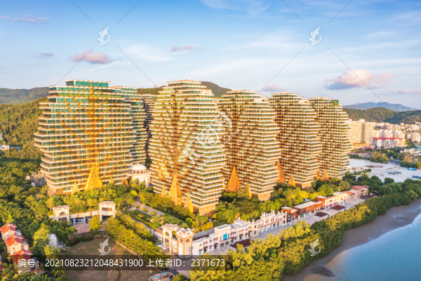 美麗之冠大樹公館