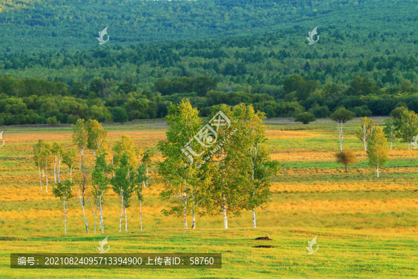 大興安嶺原野樹(shù)林風(fēng)景