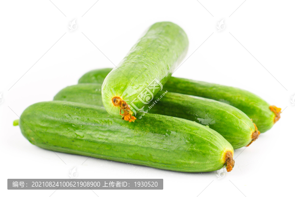 白底上放著新鮮水果黃瓜