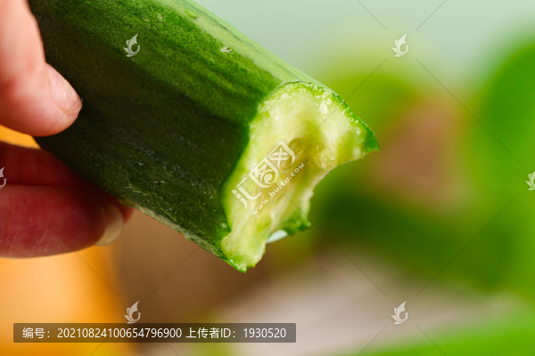 生吃水果小黃瓜