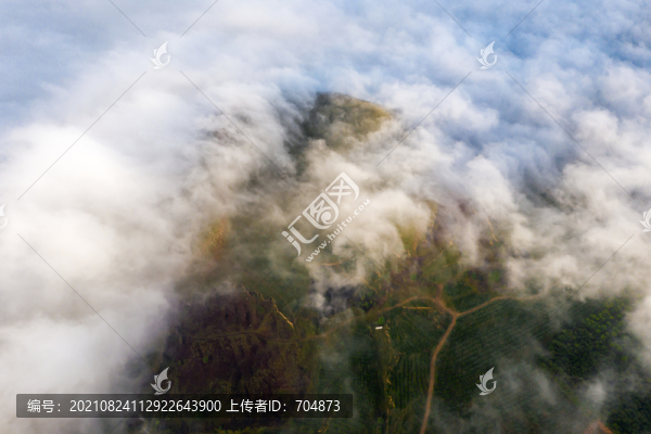 金山云霧