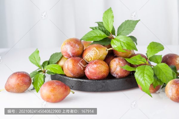 新疆法蘭西梅