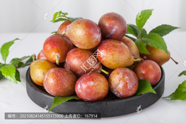 新疆法蘭西梅