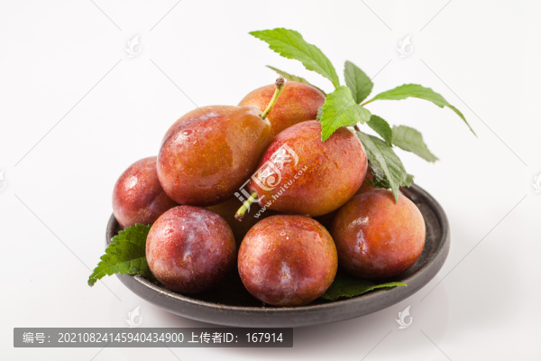 西梅