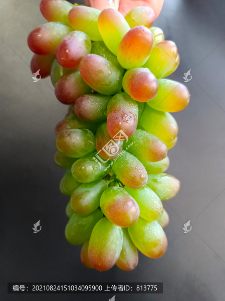 翡翠綠葡萄