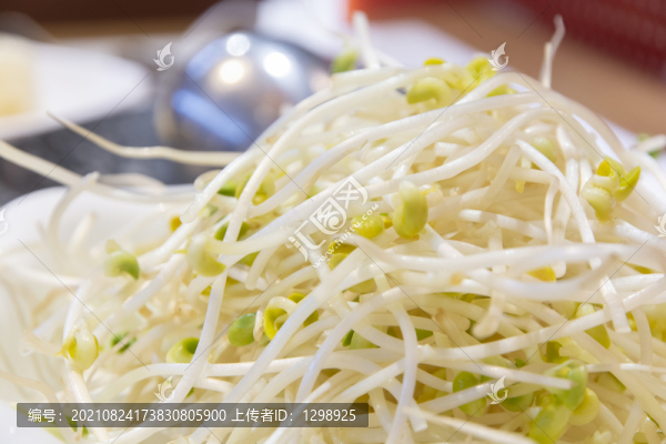 豆芽