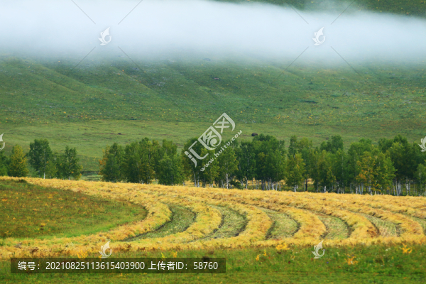 呼倫貝爾墾區(qū)秋季田園風(fēng)光