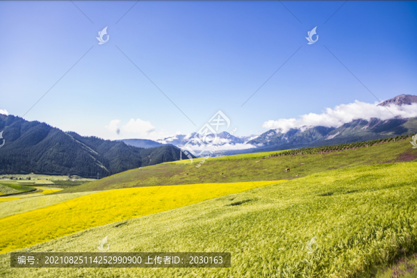 卓爾山