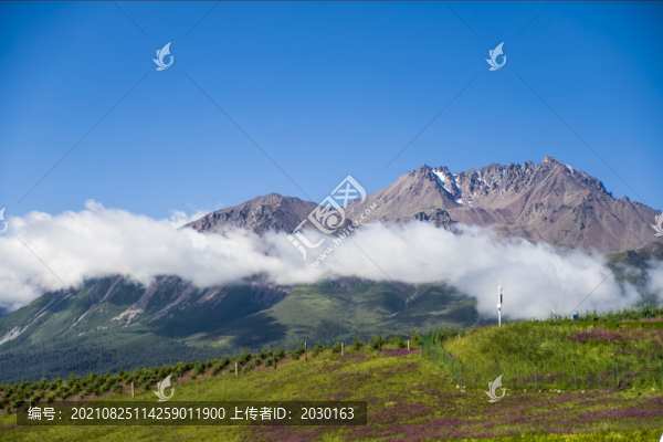 卓爾山