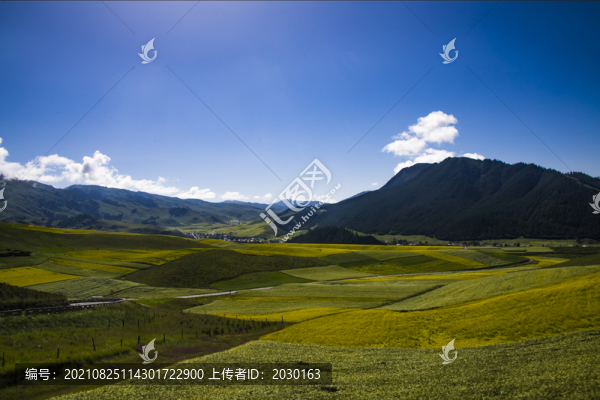 卓爾山