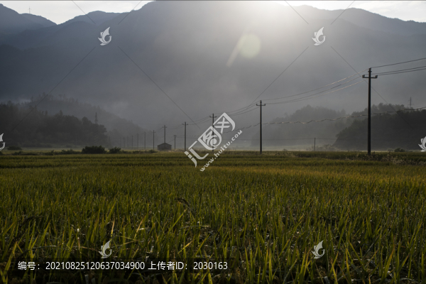 山間稻田