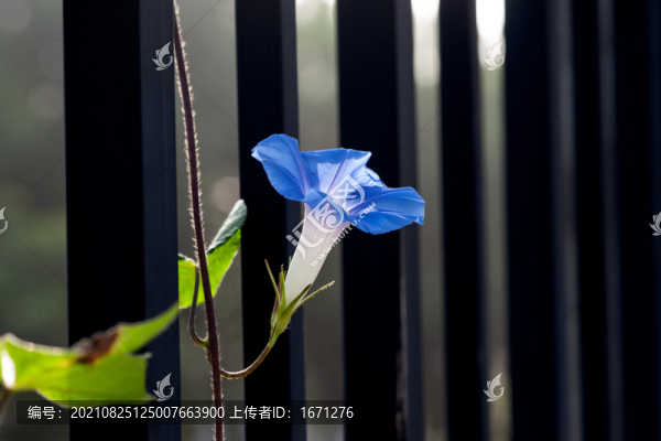 牽?；? title=