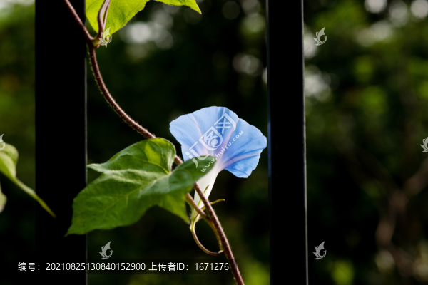 牽?；? title=