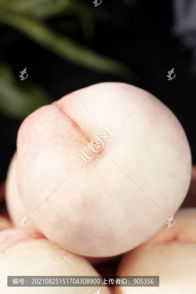 白鳳水蜜桃