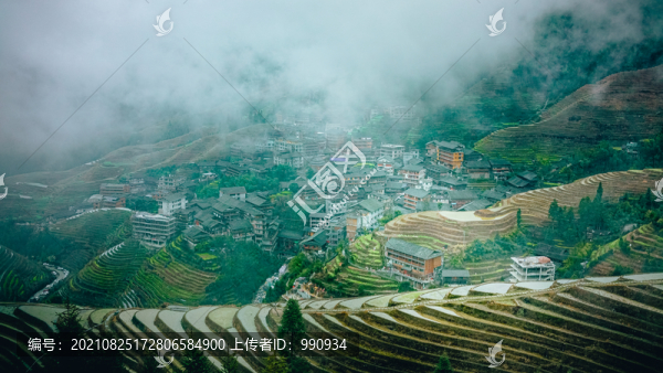 龍脊梯田
