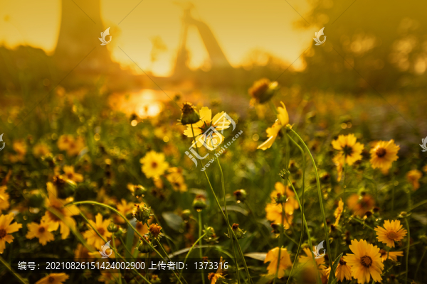 永定河畔