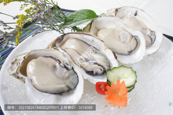 生蠔刺身