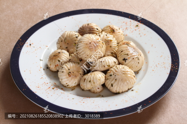 白蘑菇