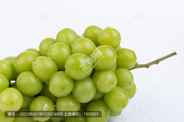 陽光玫瑰葡萄