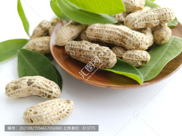 鮮果生花生