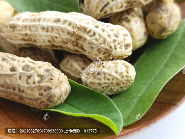 一碟特寫鮮花生