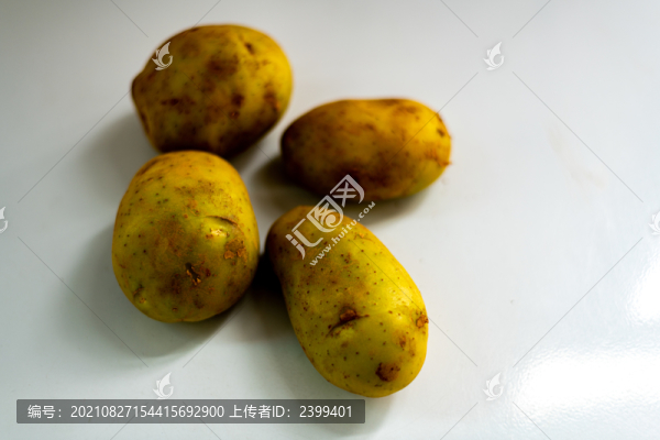 新鮮的土豆地蛋馬鈴薯