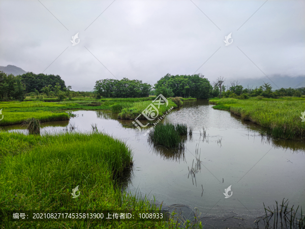 神農(nóng)架大九湖
