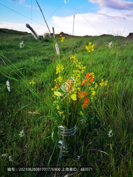 一束花