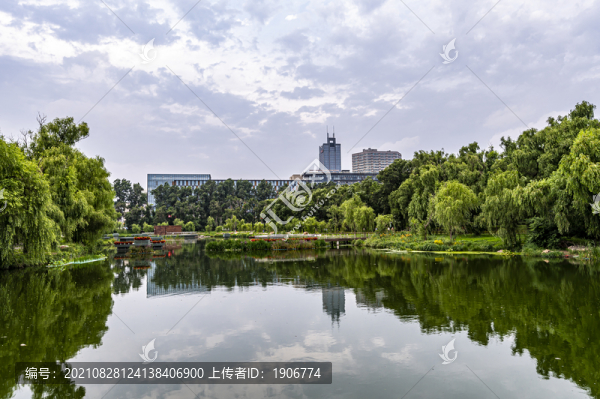 荷花盛開的中國長春南湖公園風景