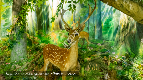 勞山森林公園展覽館