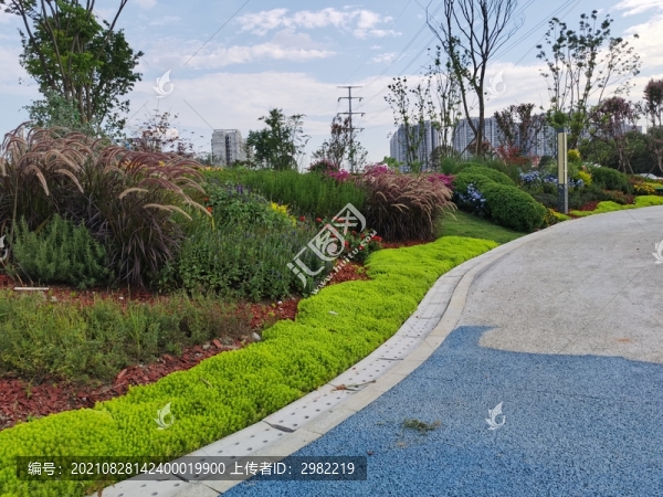 路邊花草