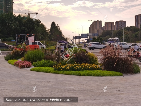 路邊花草