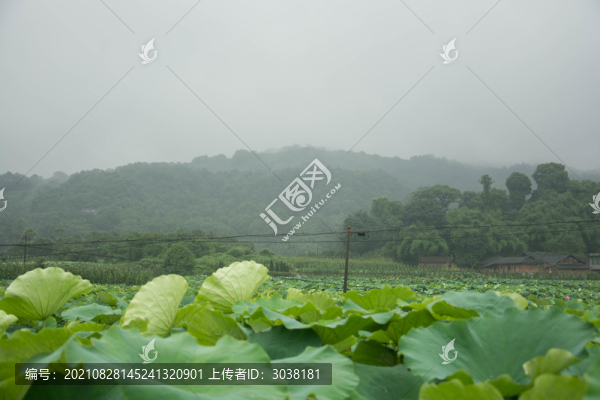 雨霧的荷葉山村