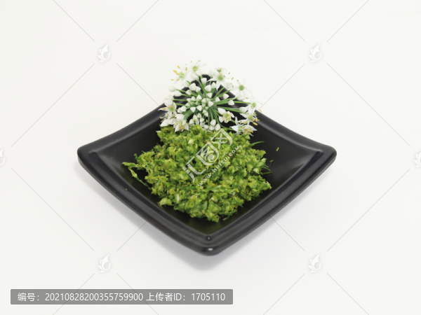 韭菜花醬