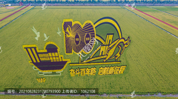 天津西青稻田大美稻香王穩(wěn)莊豐收