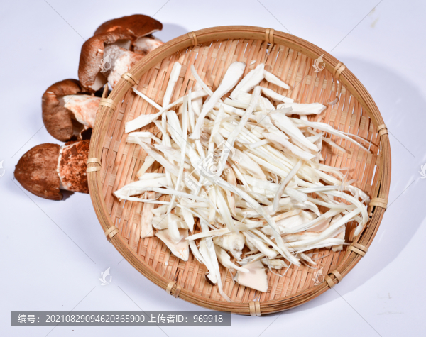 雞樅菌