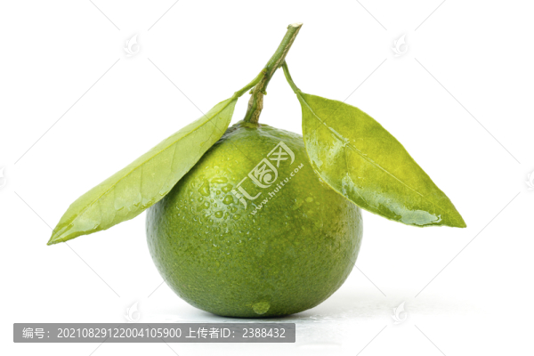 青皮蜜桔