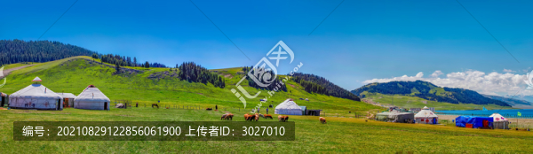 賽里木湖草原