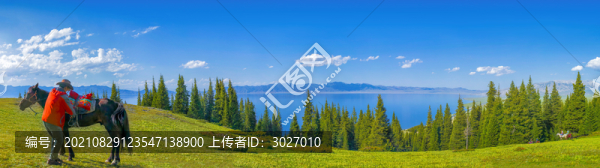 賽里木湖草原