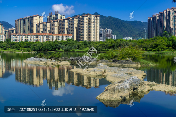 飛來湖濕地公園