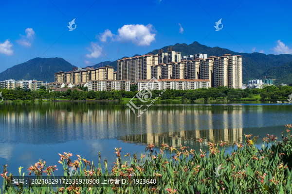 飛來湖濕地公園