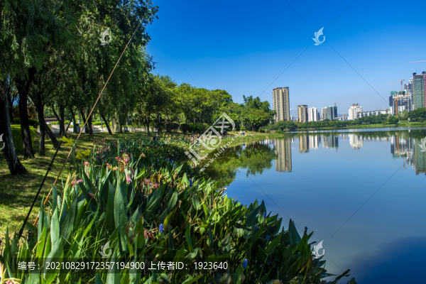 飛來湖濕地公園