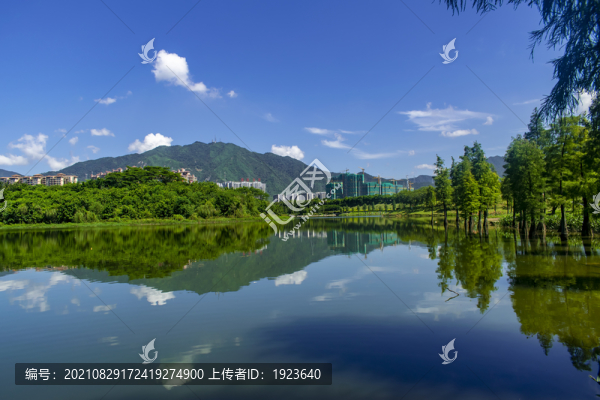 飛來湖濕地公園