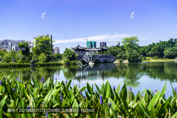 飛來湖濕地公園