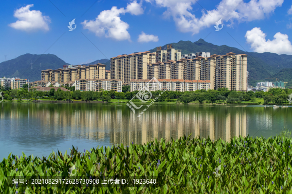 飛來湖濕地公園