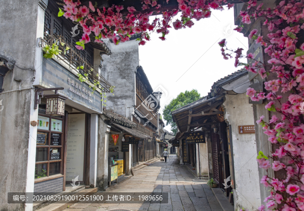 春意南潯