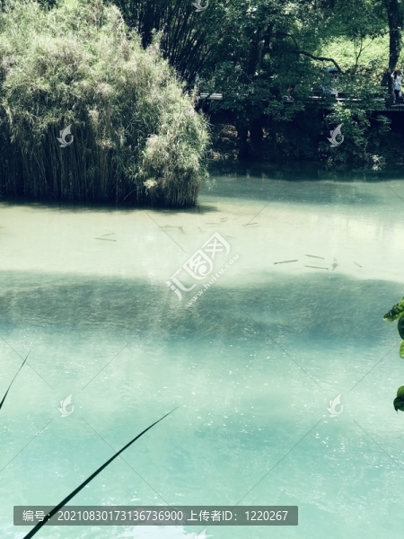 蘆葦小魚山水圖