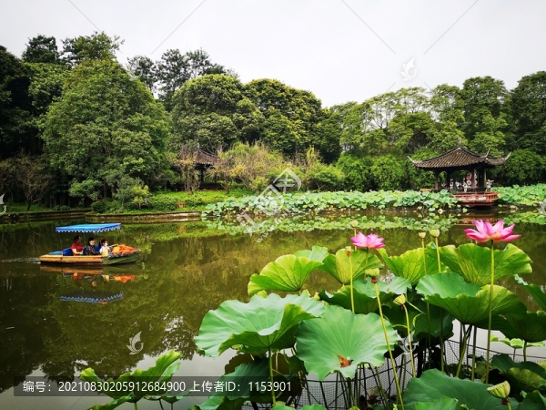 公園水景