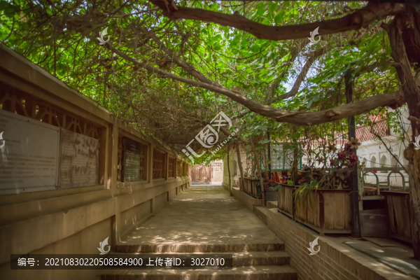 莎車葉爾羌汗國王陵